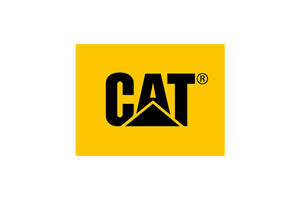 cat-logo